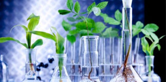 bioteknologi
